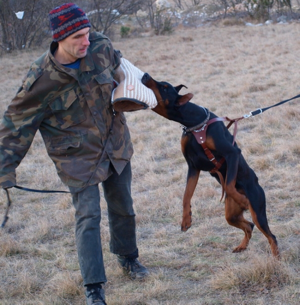 7nitro jan 2009 int7.jpg